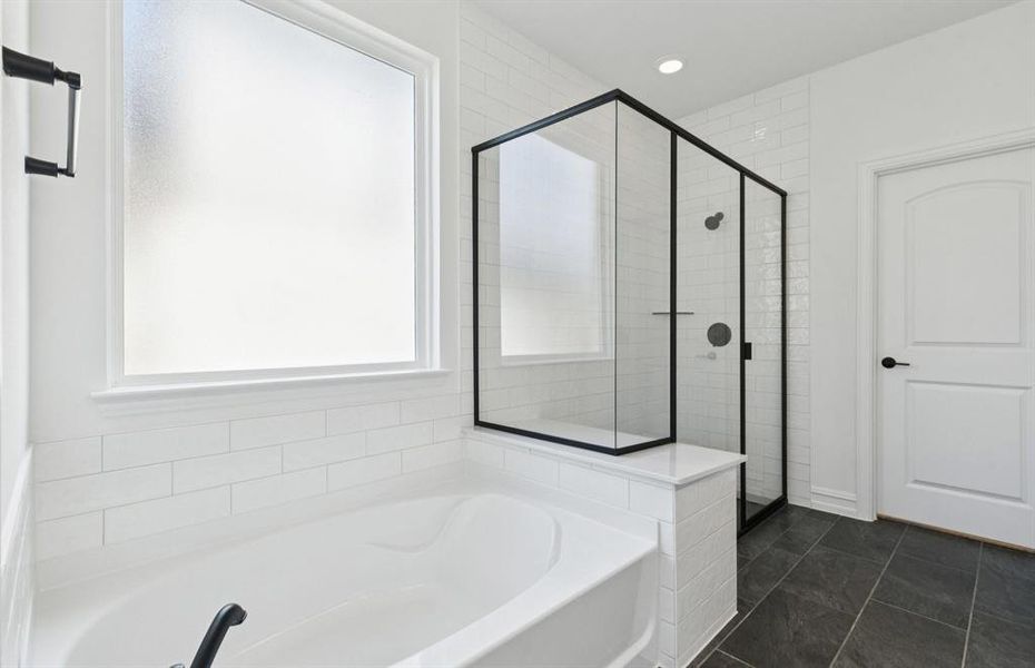 Tub and shower in owner's bath Tub and shower in owner's bath