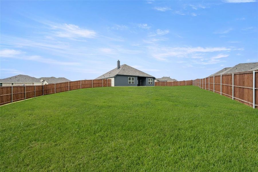 200 Shepards- Back-2 200 Shepards- Back-2