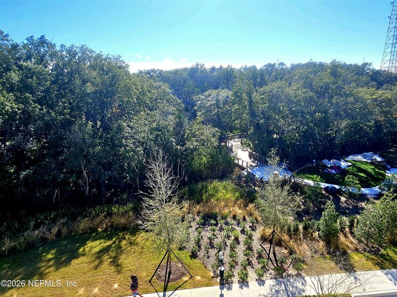 Natural landscape and outdoor views near  in Jacksonville (Image 21).