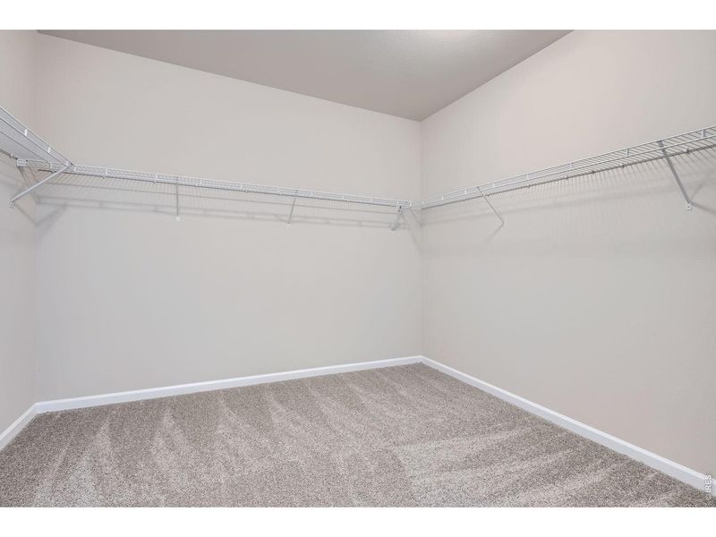 Spacious, unfurnished interior of a new home in Farmstead, Berthoud (Image 30).