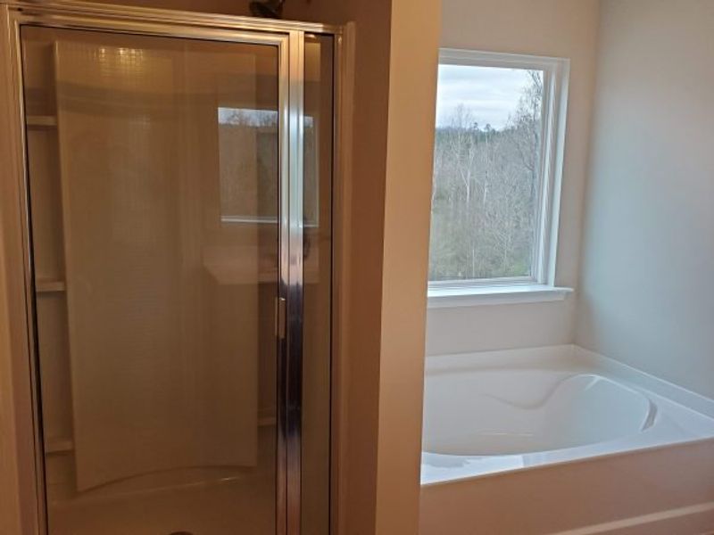 Representative interior finishes for a home built from the Brentwood by Piedmont Residential in Hampton Ridge, Jefferson (Image 15).