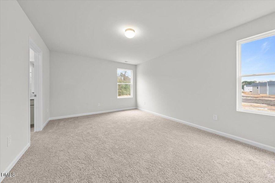 Fay_Stout_17 (22)1 Fay_Stout_17 (22)1