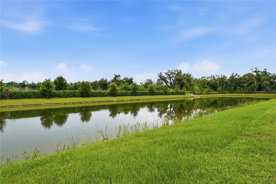 Natural landscape and outdoor views near  in Parrish (Image 38).