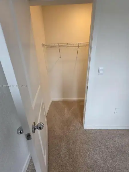 Closet featuring wire shelving, wall-to-wall carpeting, and a hinged panel door with a polished metal knob