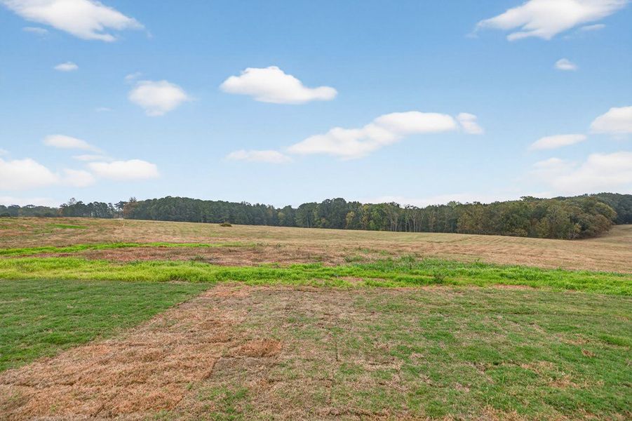 Natural landscape and outdoor views near GRAY ROAD in Roopville (Image 44).