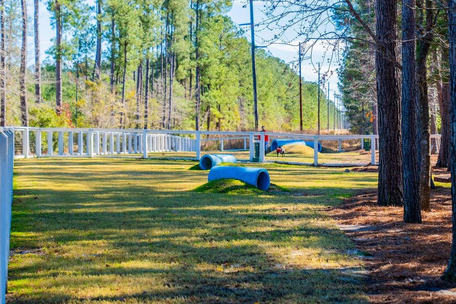 Image 52 of a home in Nexton.