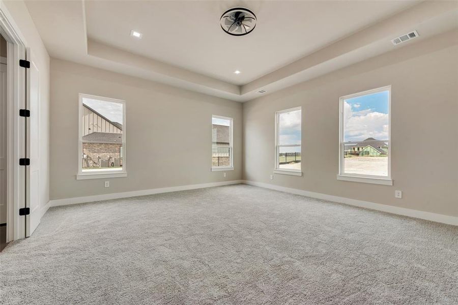 Empty room with carpet floors and a tray ceiling