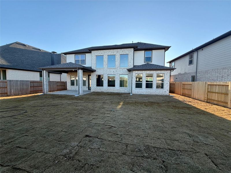 Check out the Back Yard