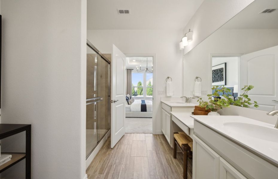 Owner's bath with large shower