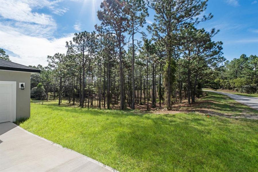 Front exterior of a new home in , Dunnellon, FL, highlighting curb appeal (Image 20). Front exterior of a new home in , Dunnellon, FL, highlighting curb appeal (Image 20).