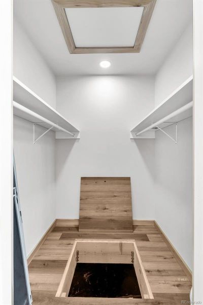 Crawl space access in closet