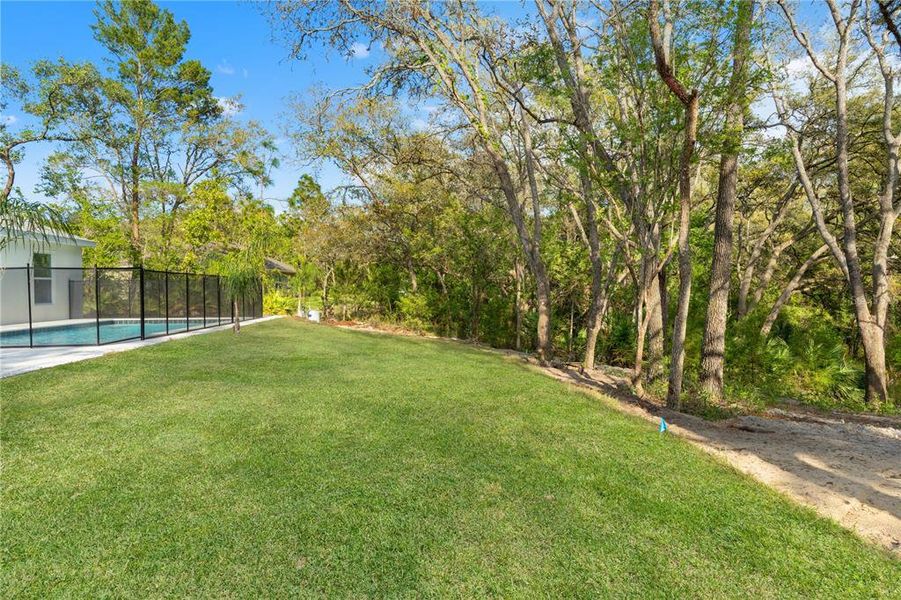 Natural landscape and outdoor views near  in Weeki Wachee (Image 43).