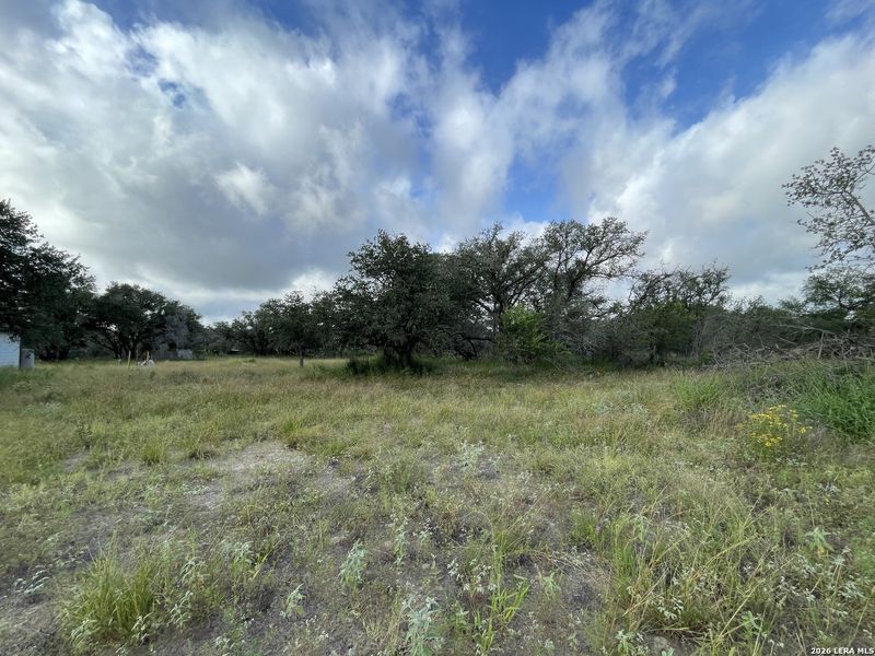 Natural landscape and outdoor views near in Devine (Image 2). Natural landscape and outdoor views near in Devine (Image 2).