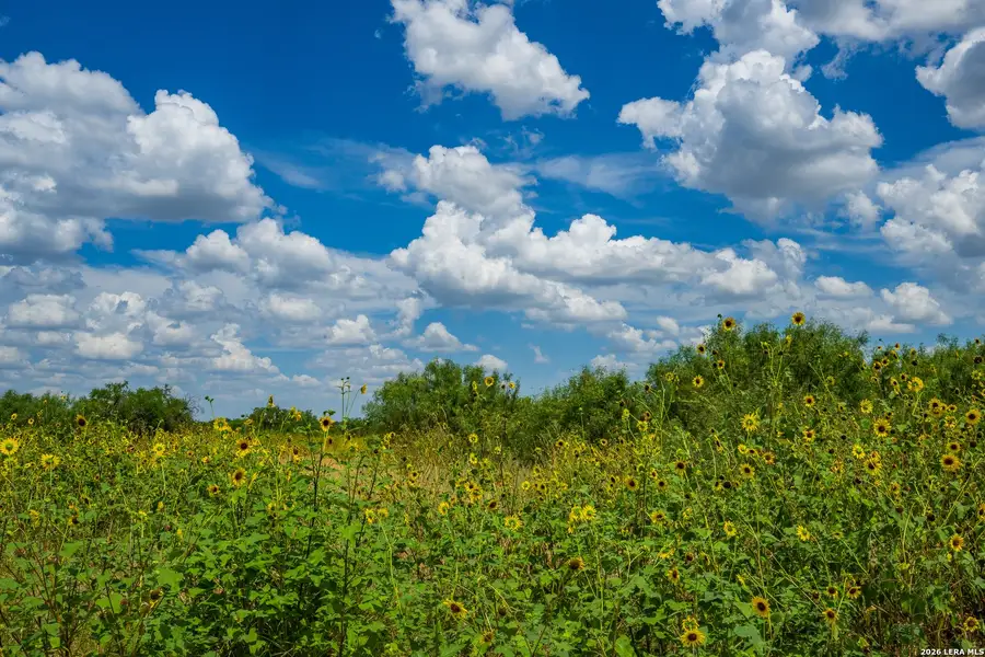 Natural landscape and outdoor views near in Crystal City (Image 12). Natural landscape and outdoor views near in Crystal City (Image 12).