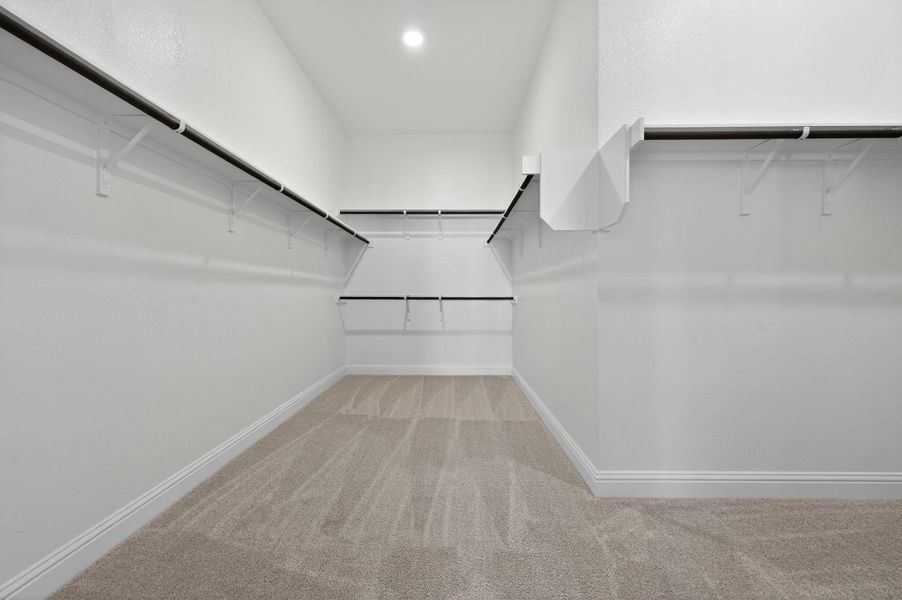 Spacious closet featuring light colored carpet