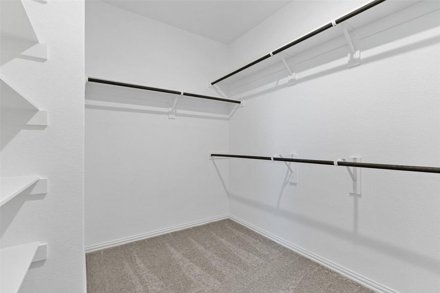 Spacious, unfurnished interior of a new home in Cypress Green, Hockley (Image 15). Spacious, unfurnished interior of a new home in Cypress Green, Hockley (Image 15).