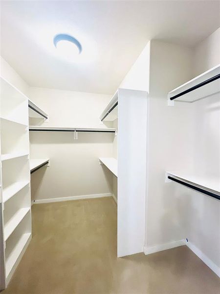 Walk in closet with light carpet