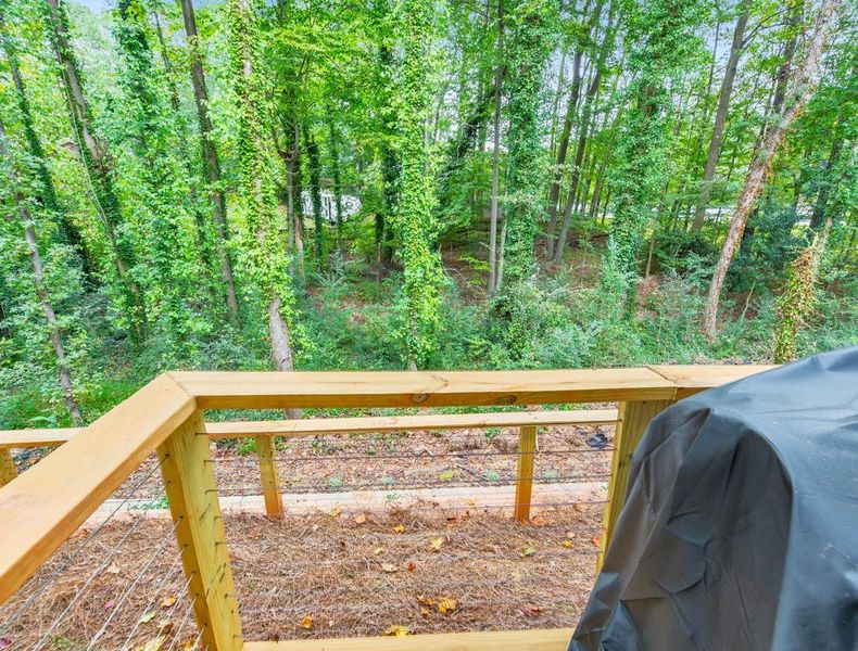 Natural landscape and outdoor views near  in Tucker (Image 35).