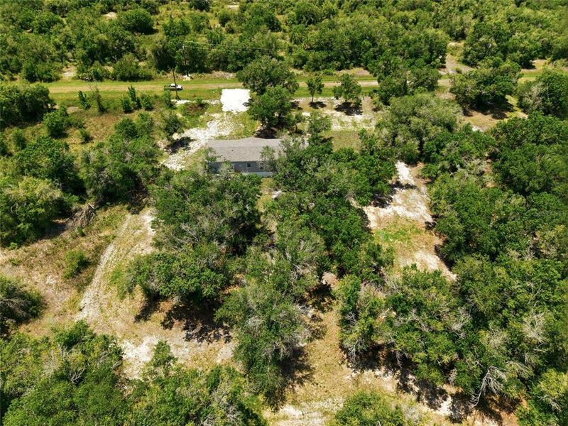 Natural landscape and outdoor views near  in Okeechobee (Image 35).