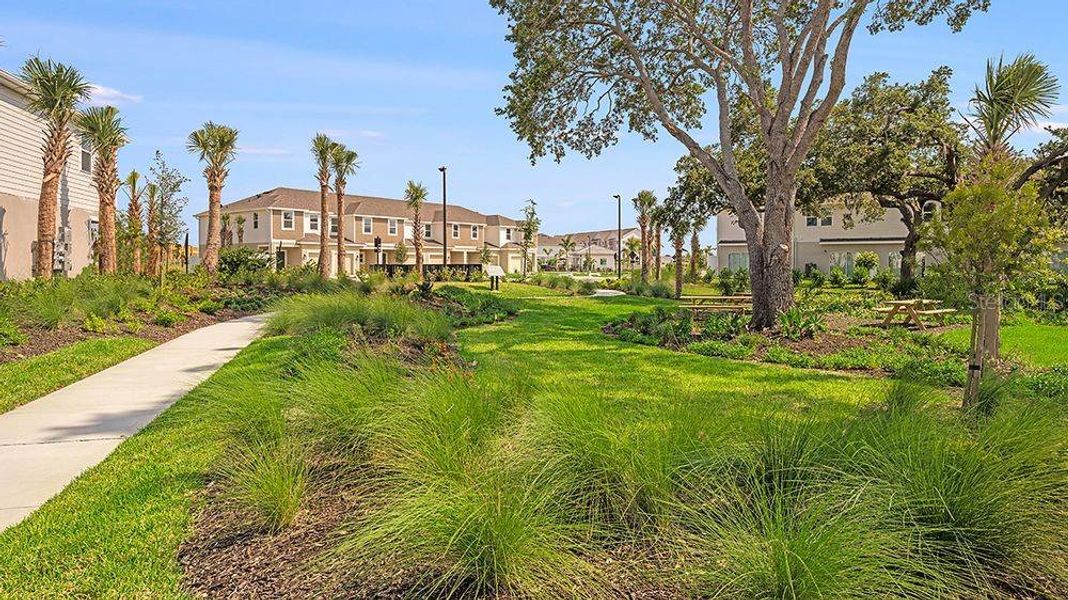 Natural landscape and outdoor views near Vinterra Townhomes in Nokomis (Image 37).