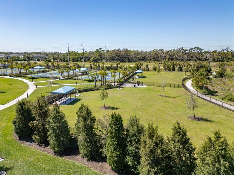 Community amenities in , Sarasota (Image 72).