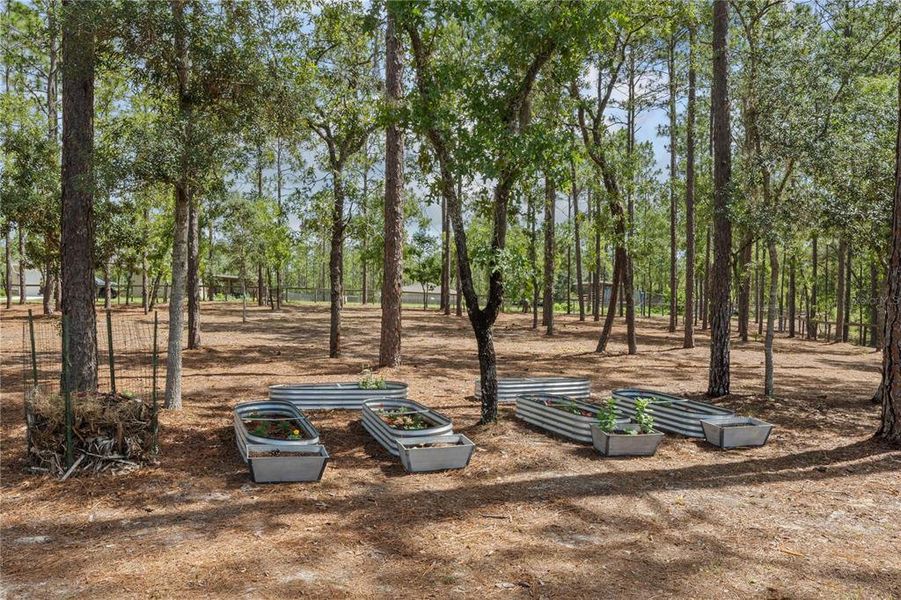 Natural landscape and outdoor views near  in Dunnellon (Image 53).