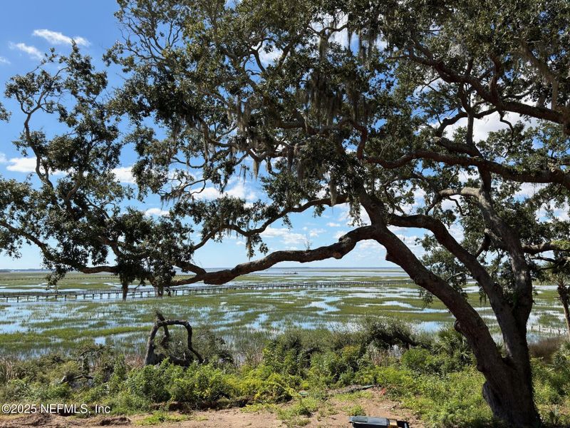 Natural landscape and outdoor views near in Fernandina Beach (Image 18). Natural landscape and outdoor views near in Fernandina Beach (Image 18).