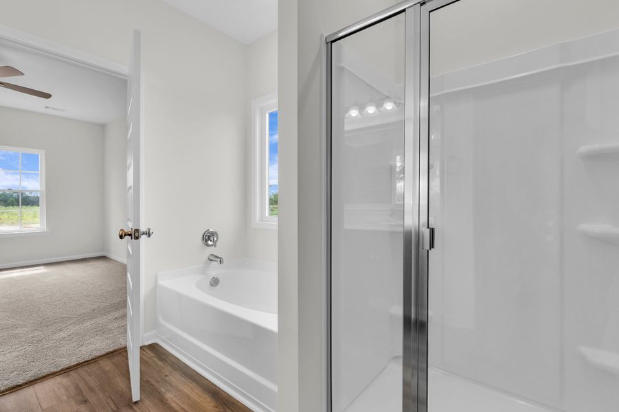 Representative furnished interior of a home built from the The Trask by RTS Homes in Tibet Road at Sassafras, Allenhurst (Image 13).