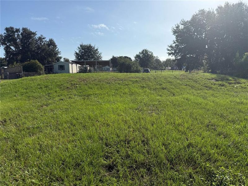 Natural landscape and outdoor views near  in Lake Wales (Image 10).