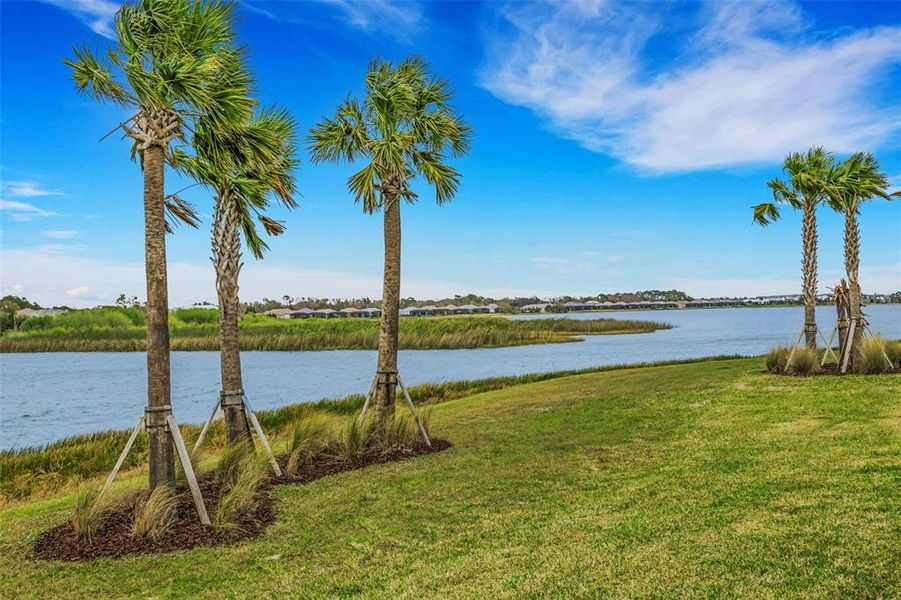 Natural landscape and outdoor views near  in Sarasota (Image 28).