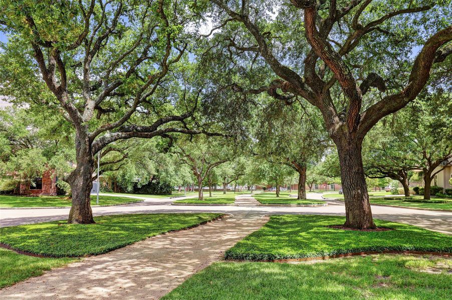 Natural landscape and outdoor views near  in Houston (Image 43).