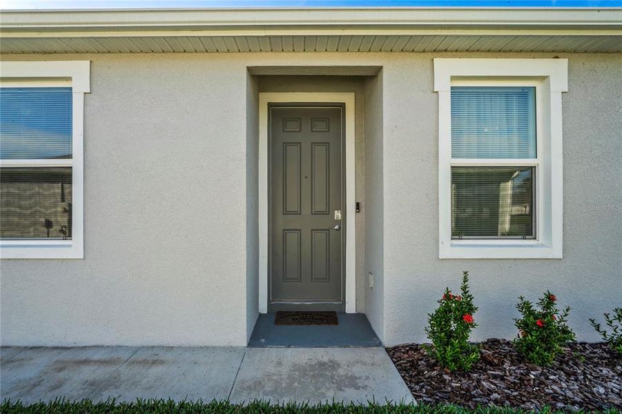 Exterior details and patio area of a home in Towns at Woodsdale, Wesley Chapel (Image 22).
