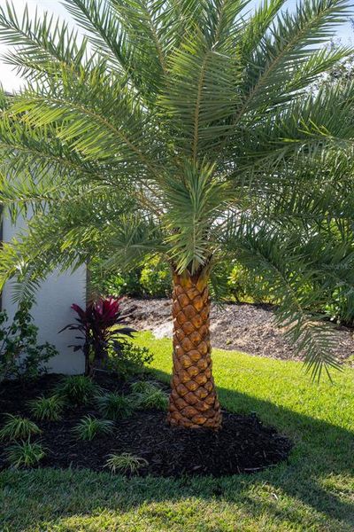 Natural landscape and outdoor views near  in Lakewood Ranch (Image 85).