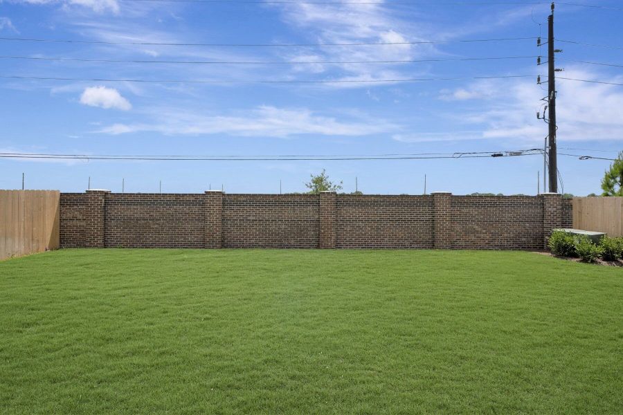 Backyard Backyard