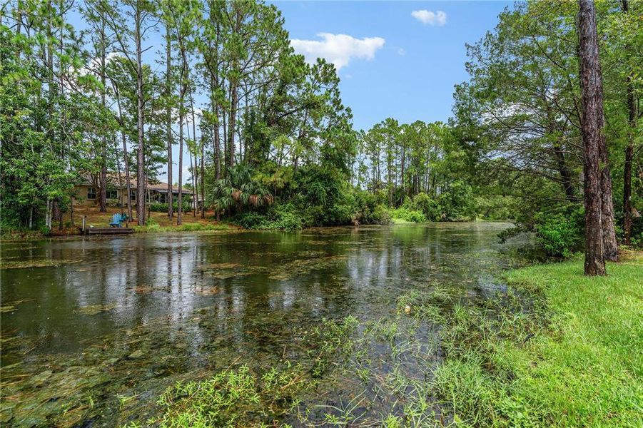 FRESHWATER CANAL FRESHWATER CANAL
