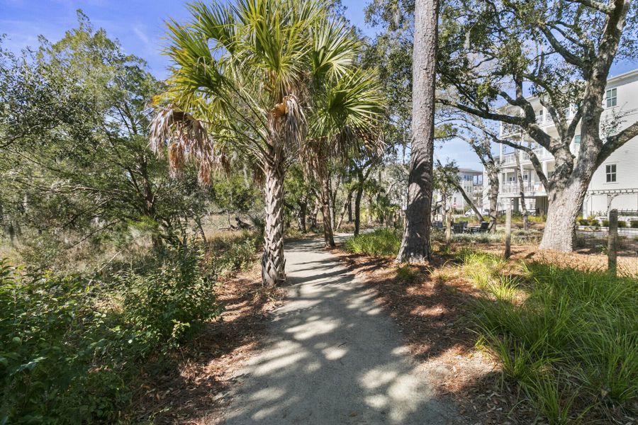 Natural landscape and outdoor views near  in Charleston (Image 44).