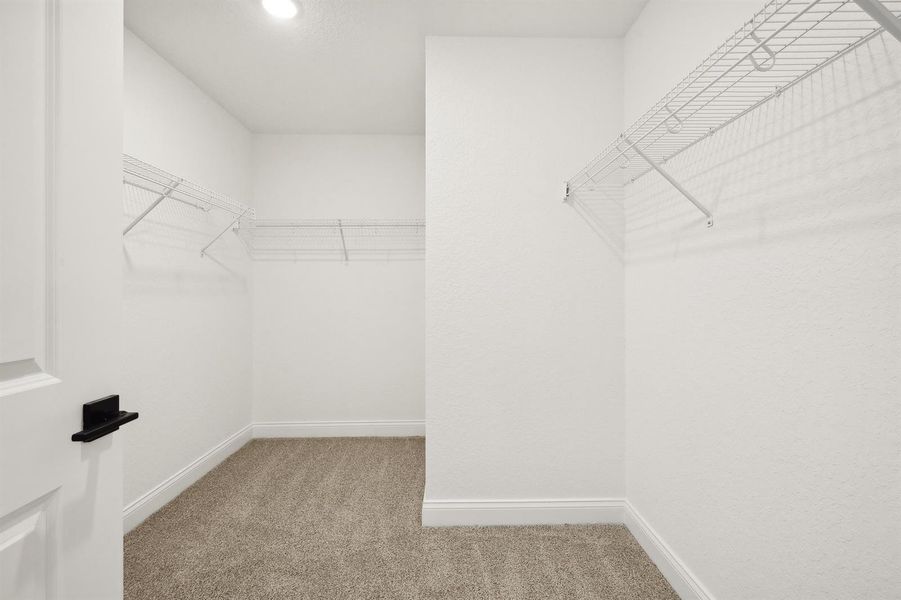 Primary Walk-in Closet