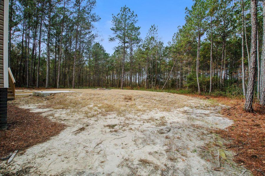 Site preparation for new homesites in , Walterboro (Image 33).