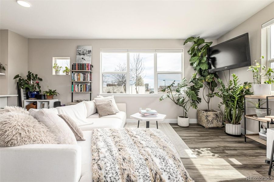 Living room area-- lots of natural light!