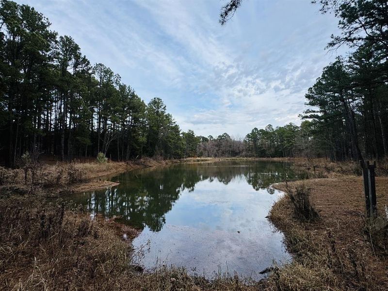 Natural landscape and outdoor views near  in Powderly (Image 14).