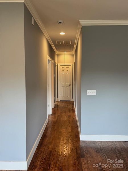 Spacious, unfurnished interior of a new home in , Leicester (Image 10).