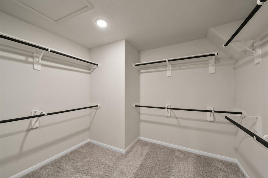 Spacious walk-in closet featuring multiple hanging rods, plush carpeting, and ample storage.