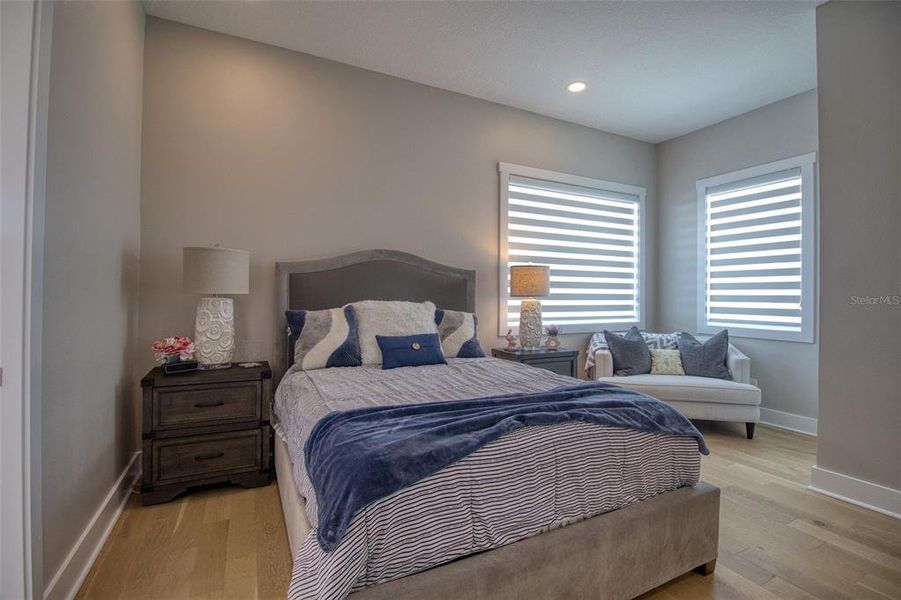 Furnished interior view inside a new home in , Dunedin (Image 35).