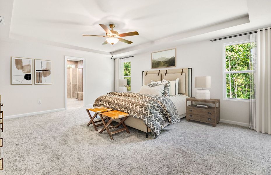Oversize Owner's Suite with a tray ceiling.