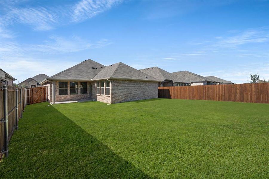 10341 Tapioca- Back-2