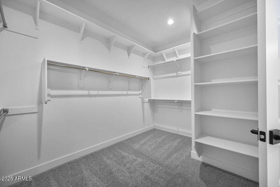 hj-az-phoenix-lucero-hazel-lot-52-dressi