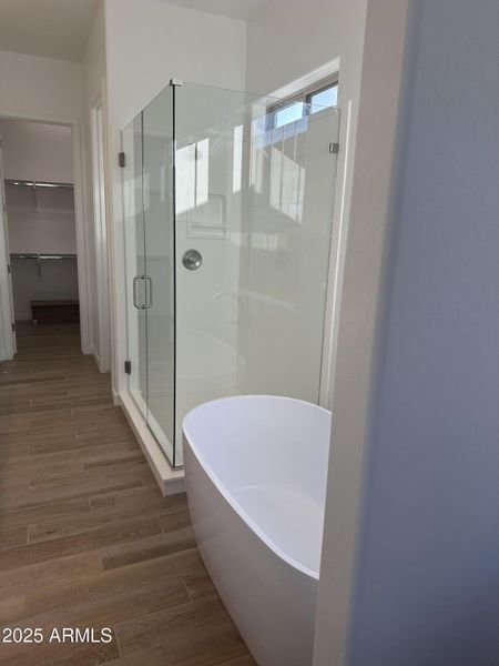 Lot 12 Freestanding tub and frameless sh