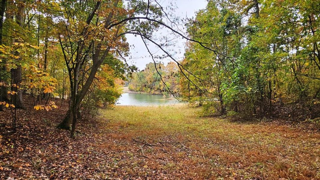 Natural landscape and outdoor views near in Dallas (Image 11). Natural landscape and outdoor views near in Dallas (Image 11).
