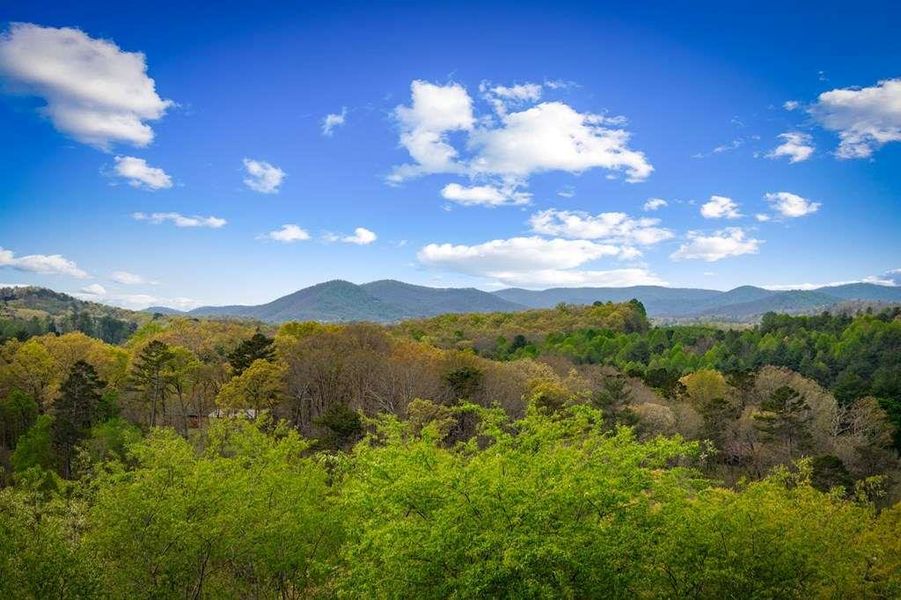 Natural landscape and outdoor views near  in Blue Ridge (Image 68).