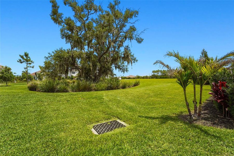 Natural landscape and outdoor views near  in Sarasota (Image 74).